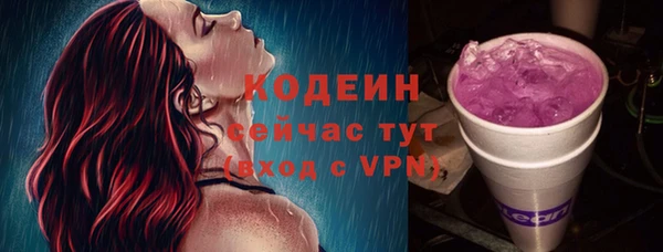 мдпв Корсаков