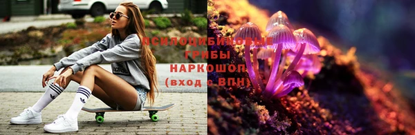 спайс Козловка